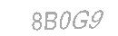 Güvenlik Kodu