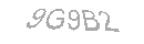 Güvenlik Kodu