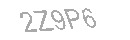 Güvenlik Kodu