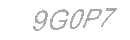 Güvenlik Kodu