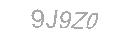 Güvenlik Kodu