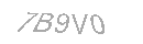 Güvenlik Kodu