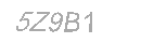 Güvenlik Kodu