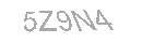 Güvenlik Kodu
