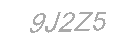 Güvenlik Kodu