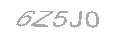 Güvenlik Kodu
