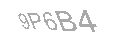 Güvenlik Kodu