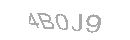 Güvenlik Kodu