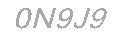 Güvenlik Kodu