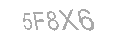 Güvenlik Kodu
