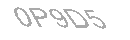 Güvenlik Kodu
