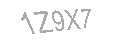 Güvenlik Kodu