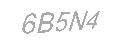 Güvenlik Kodu