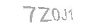 Güvenlik Kodu
