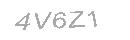 Güvenlik Kodu