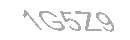 Güvenlik Kodu