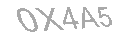 Güvenlik Kodu