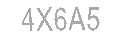 Güvenlik Kodu