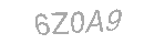 Güvenlik Kodu