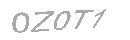 Güvenlik Kodu