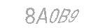 Güvenlik Kodu