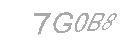 Güvenlik Kodu