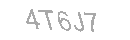 Güvenlik Kodu