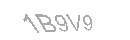 Güvenlik Kodu