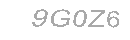Güvenlik Kodu