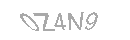 Güvenlik Kodu