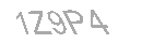 Güvenlik Kodu