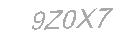 Güvenlik Kodu