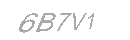 Güvenlik Kodu