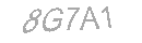 Güvenlik Kodu