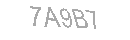 Güvenlik Kodu