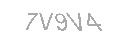 Güvenlik Kodu