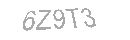 Güvenlik Kodu