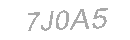 Güvenlik Kodu