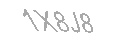 Güvenlik Kodu