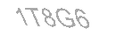 Güvenlik Kodu