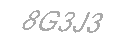 Güvenlik Kodu