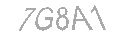 Güvenlik Kodu