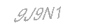 Güvenlik Kodu