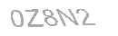Güvenlik Kodu