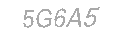 Güvenlik Kodu