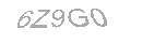 Güvenlik Kodu