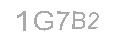 Güvenlik Kodu