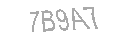 Güvenlik Kodu