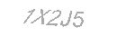 Güvenlik Kodu