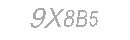 Güvenlik Kodu